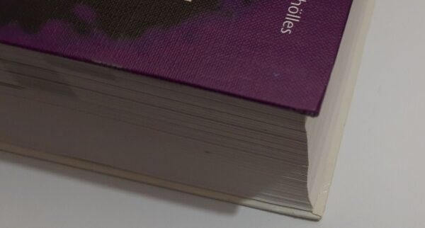 Schölles, Reiner - Das große Buch zu Turbo & Borland Pascal 7.0 (1994) - Image 2